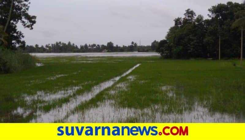 Forest Land Recover From Farmers near Bandipur