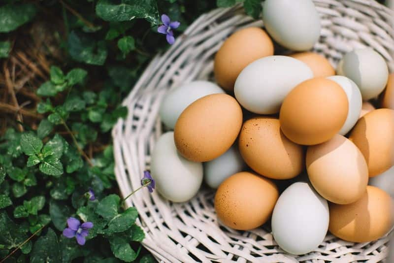 Best ways to eat eggs to boost weight loss-dnm