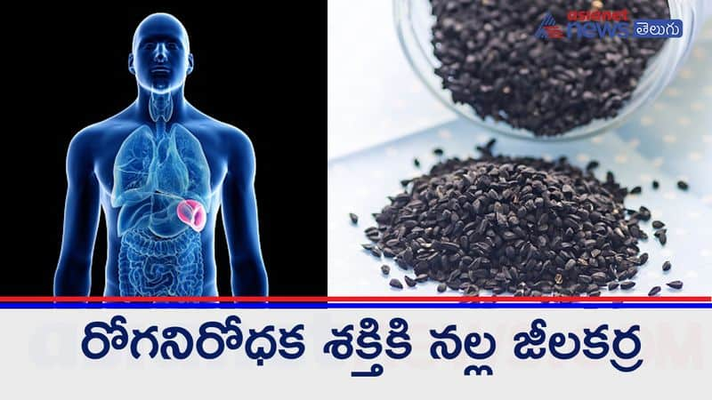 Black Cumin seeds A Promising Natural Remedy for Wide Range of Illnesses