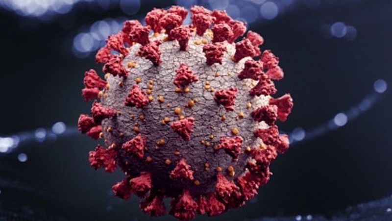 Coronavirus cases cross 1 lakh 35 thousand in Telangana