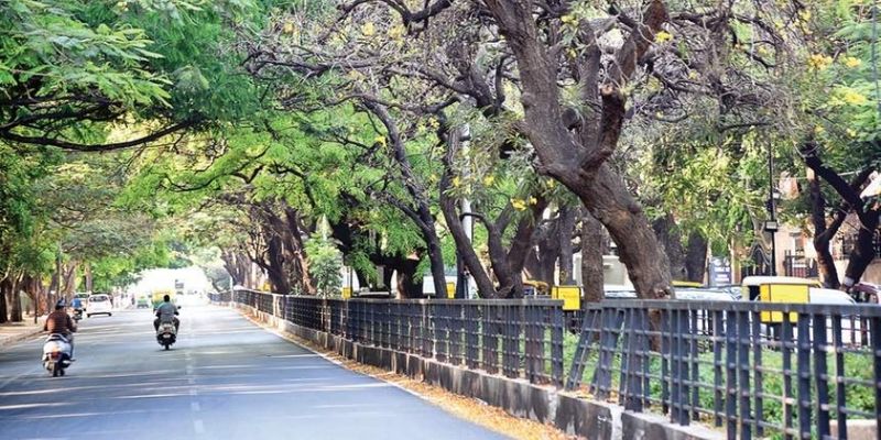 The state government abandoned the plan to build a building in Cubbon Park SAN