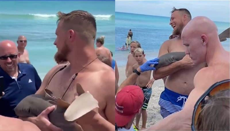 Small shark latches on to mans arm video goes viral