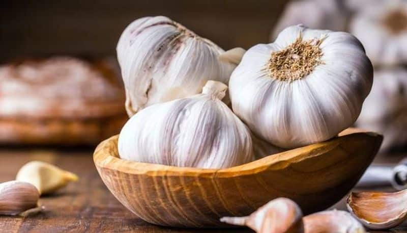 Mosquito menace: How garlic can be used as best repellent to keep these insects at bay-snj