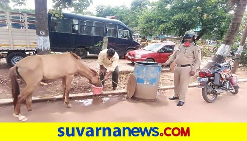 Police Take Care of Foot Broken Horse in Hirekerur in Haveri District