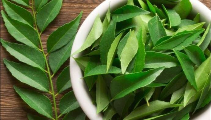 curry leaves