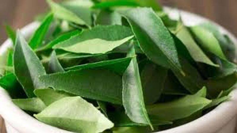 Why you should always add curry leaves to your daily diet-snj