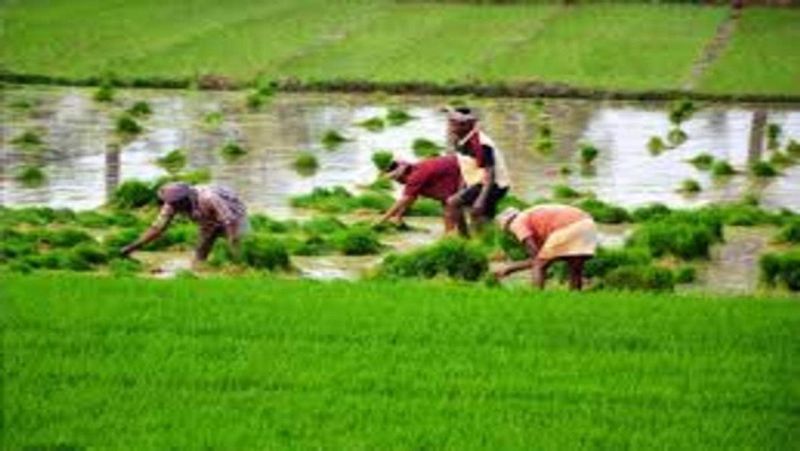 PM Modi releases latest installment of PM Kisan Samman Nidhi Yojana; how to check beneficiary status