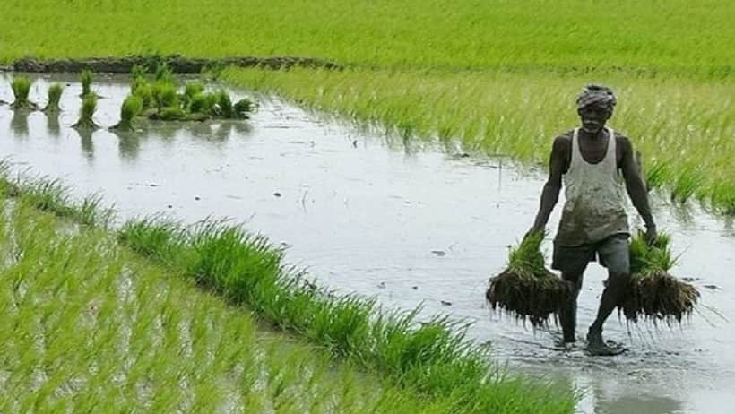 Here's how to check PM Kisan Scheme instalment if not received; 5 points 