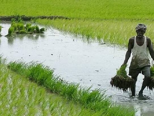 Despite the opposition's opposition, the Agriculture Bill will be presented in Rajya Sabha today