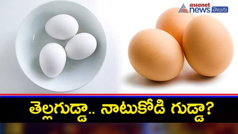 Brown Eggs Vs White Eggs : What Is Better For You?