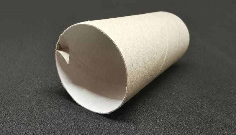 control pests with toilet paper rolls