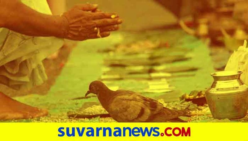 Follow these tips to get luck in this pitrupaksha