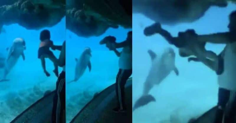 little girl enacting a dolphin to make it laugh goes viral