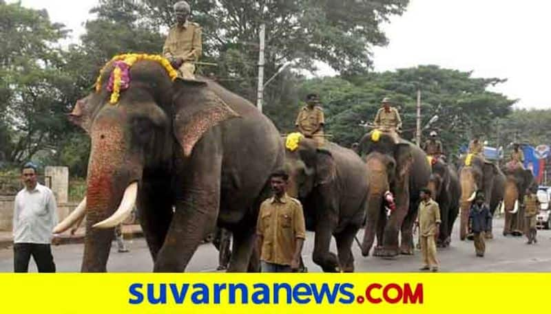 Captain Abhimanyu First in Mysuru Dasara Elephants Weight grg 