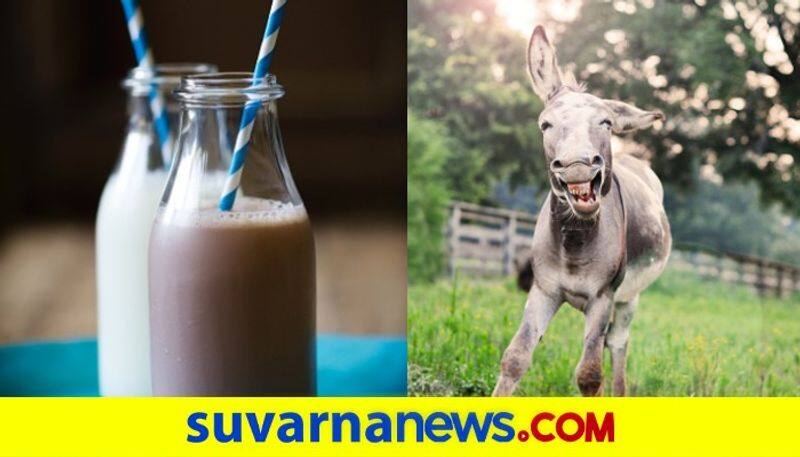 High demand for Donkey milk due to covid19 pandemic