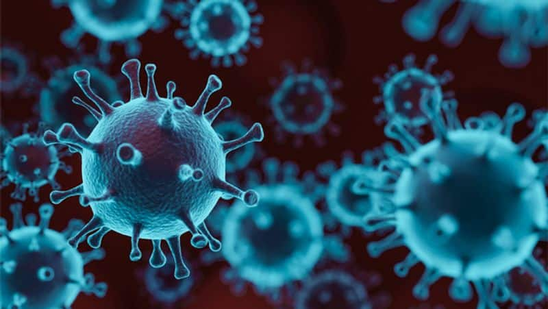 Coronavirus Amid surge in COVID-19 cases, Czech health minister resigns-snj