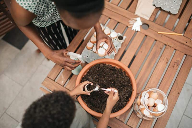 eggshell gardening tips