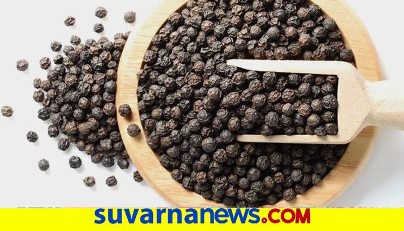 Pepper is The bumper Crop For farmers