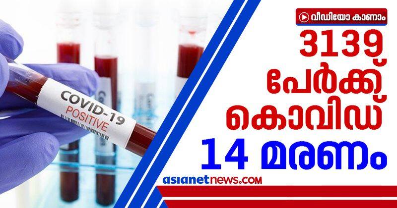 3139 new covid cases in kerala 34786 samples tested in 24 hours