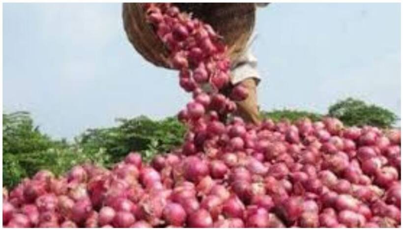 प्याज को लेकर आई बड़ी खबर, सबसे बड़ी मंडी में गिरी 1000 रुपये कीमत