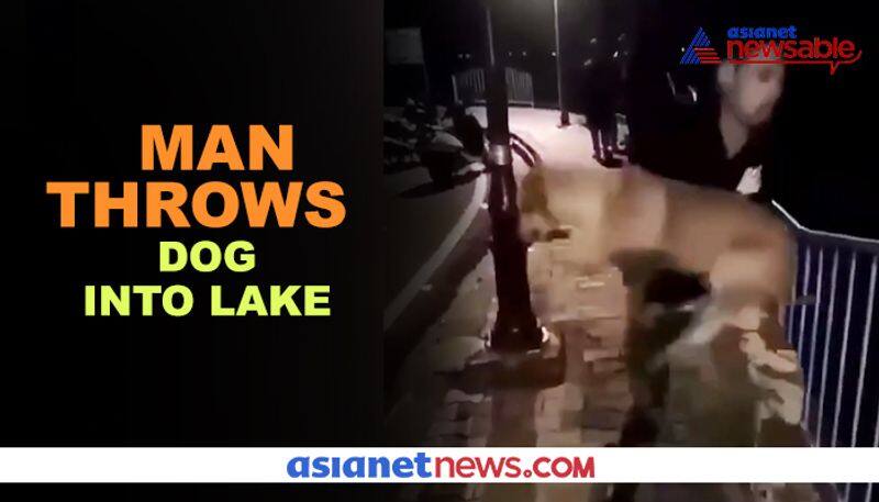 Man throws dog into lake; viral video triggers outrage - gps