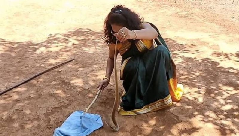 Snake Rescue In A Saree Viral Video