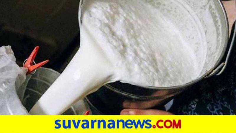 Increase in Milk Production in Haveri District During Lockdowngg