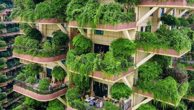 green housing project in a China and its problems