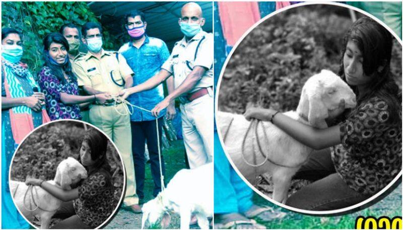 thodupuzha police given a goat as a gift to gayathri