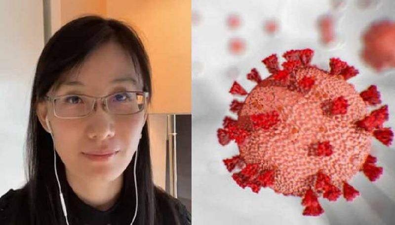 Twitter suspends account of Chinese virologist who said virusmade in Wuhan laboratory