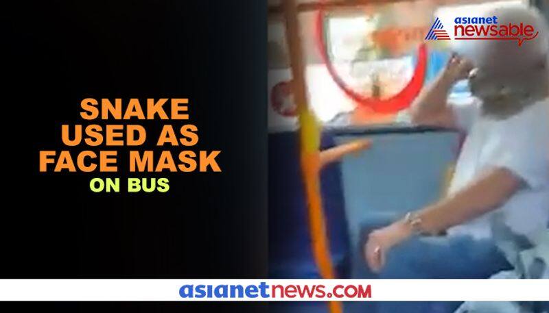 Man spotted using snake as face mask on bus: video goes viral - gps