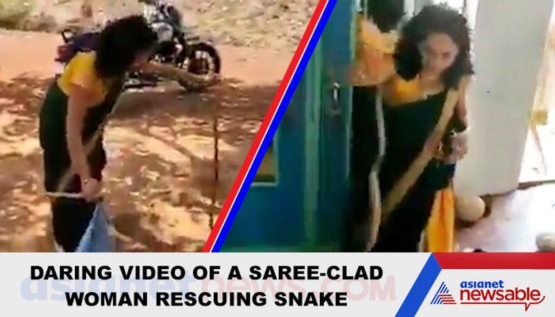 Watch Saree-clad woman rescues snake with bare hands - gps