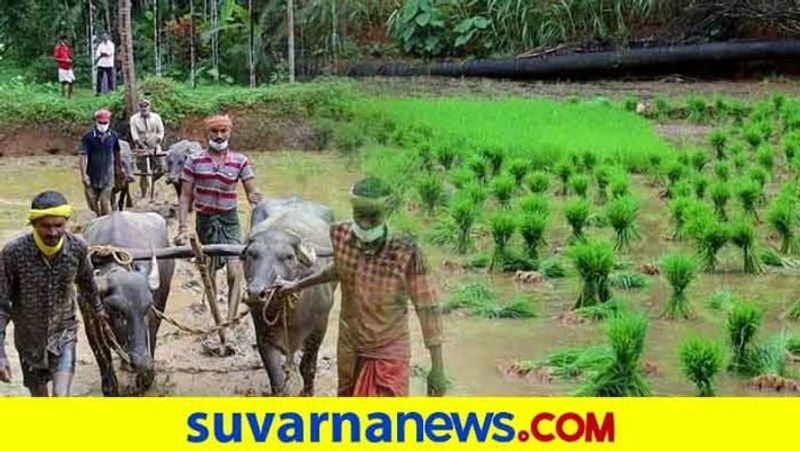 Karnataka Breaks Record in Farming After 13 Year snr