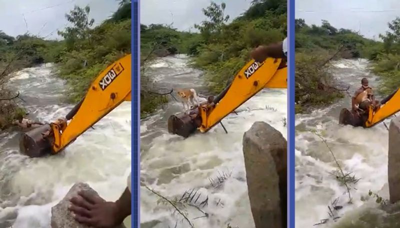 home guard jawan risks life to save dog from overflowing stream in telangana