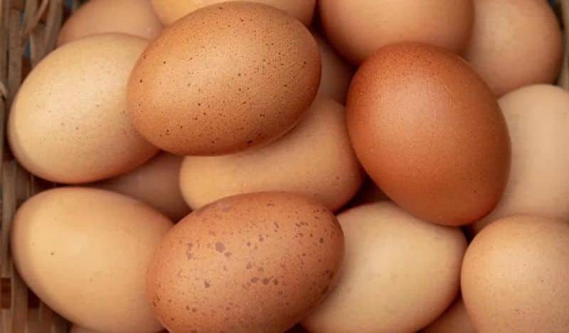 How to check out stale eggs? Follow these 4 easy steps-dnm