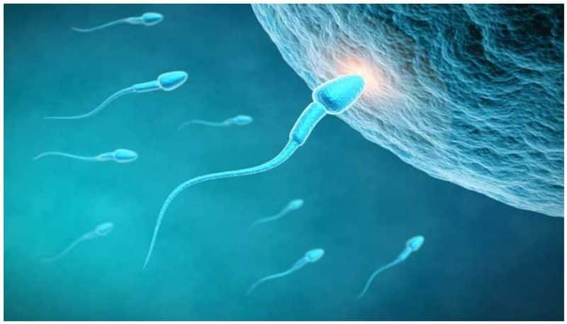 How long can the sperm last in your vagina?