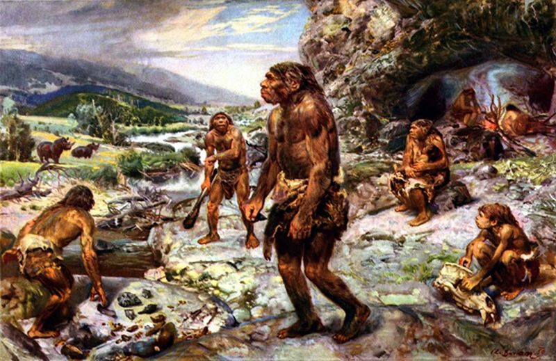 Early human ancestors may have boiled their food in hot springs million years ago