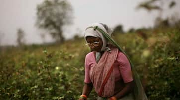 Farmers train is changing fortunes, consumers and farmers happy