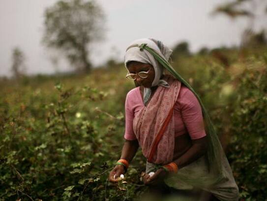 Farmers train is changing fortunes, consumers and farmers happy