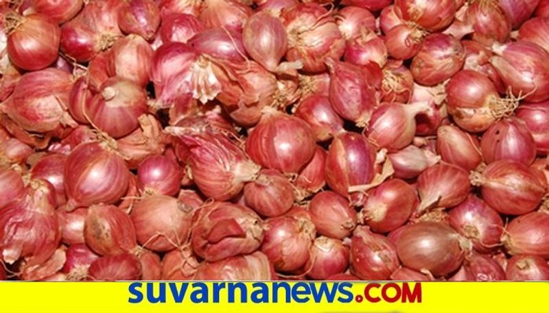 Heavy Rain Hits On Onion Crop  in Koppala snr