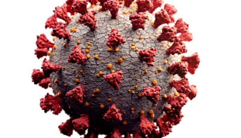 Coronavirus Elderly asked to stay home in Moscow due to COVID-19 cases surge-snj