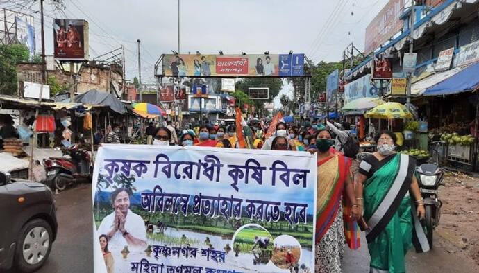 কৃষি বিলের প্রতিবাদ, নদিয়ায় পথে নেমে কেন্দ্রের বিরোধিতায় তৃণমূল