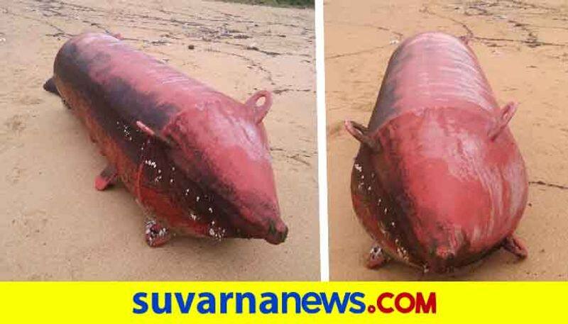 Missile shaped Material Found On the Seashore in Udupi