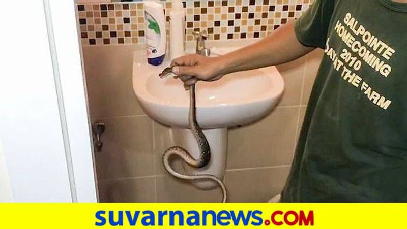 Person Brought Snake to Hospital in Uttara Kannada Districtgrg