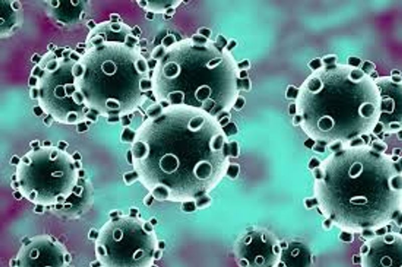 Coronavirus cases cross 1 lakh 81 thousand in Telangana KPR