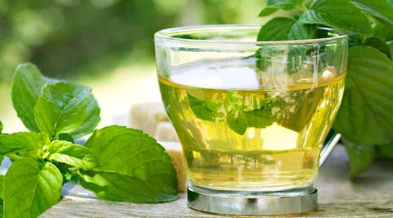 Best time to drink green tea to aid weight loss-dnm