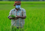 Kerala government set up welfare board for farmers, know how farmers will benefit