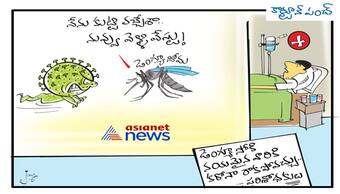 డెంగ్యూ వస్తే కరోనా రాదంట..!!!