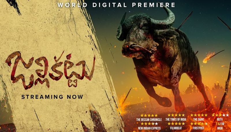 Jallikattu telugu Movie Review