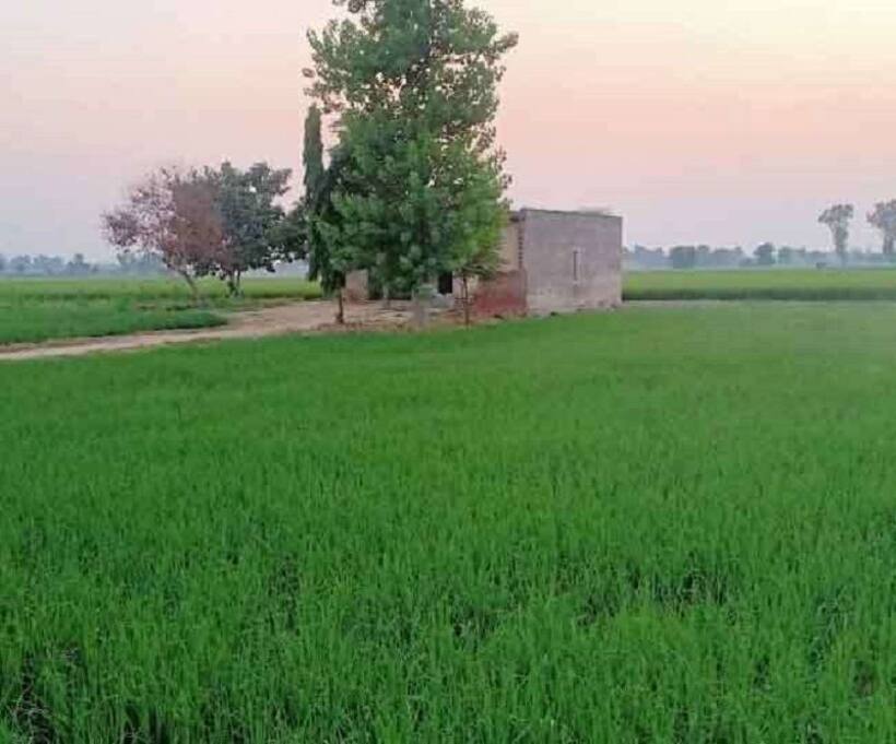कांट्रेक्ट फार्मिग से किसान बदल रहे हैं किस्मत, लिख रहे हैं नई इबादत